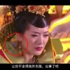 word是什么意思英语在线翻译中文